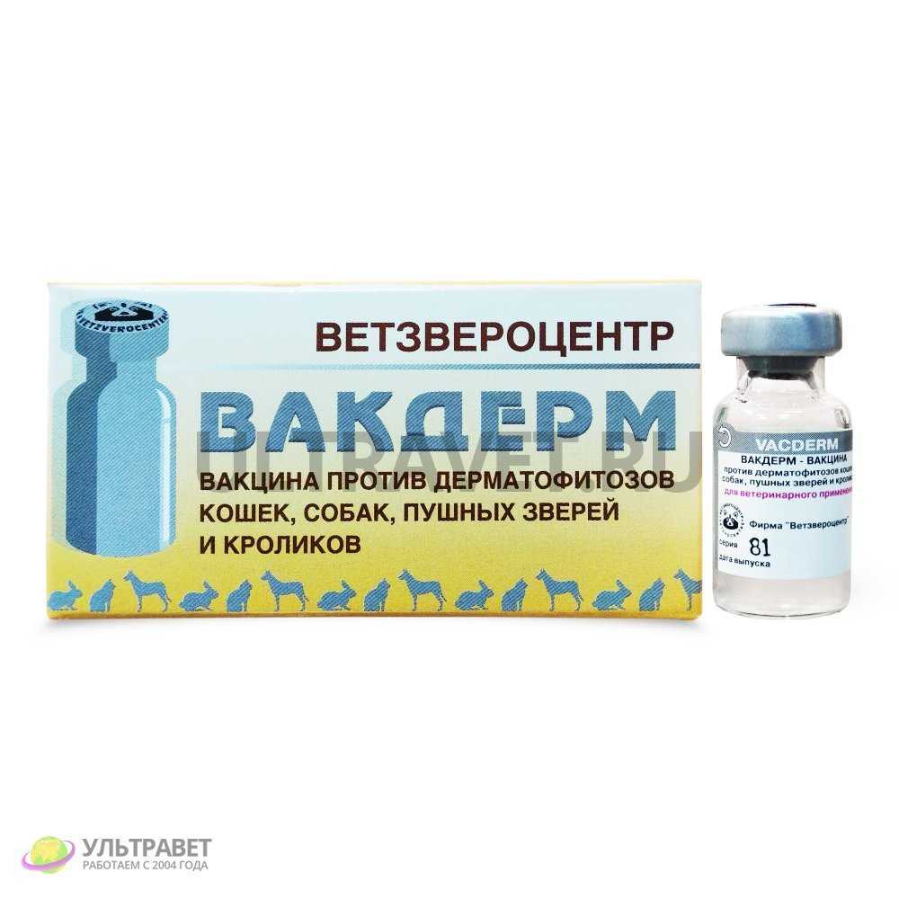 Вакцина вакдерм: инструкция по применению - вет-препараты