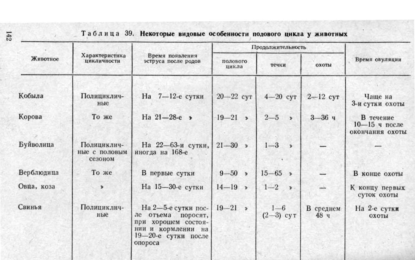 Как понять, что у собаки закончилась течка: физиологические и поведенческие признаки | звери дома