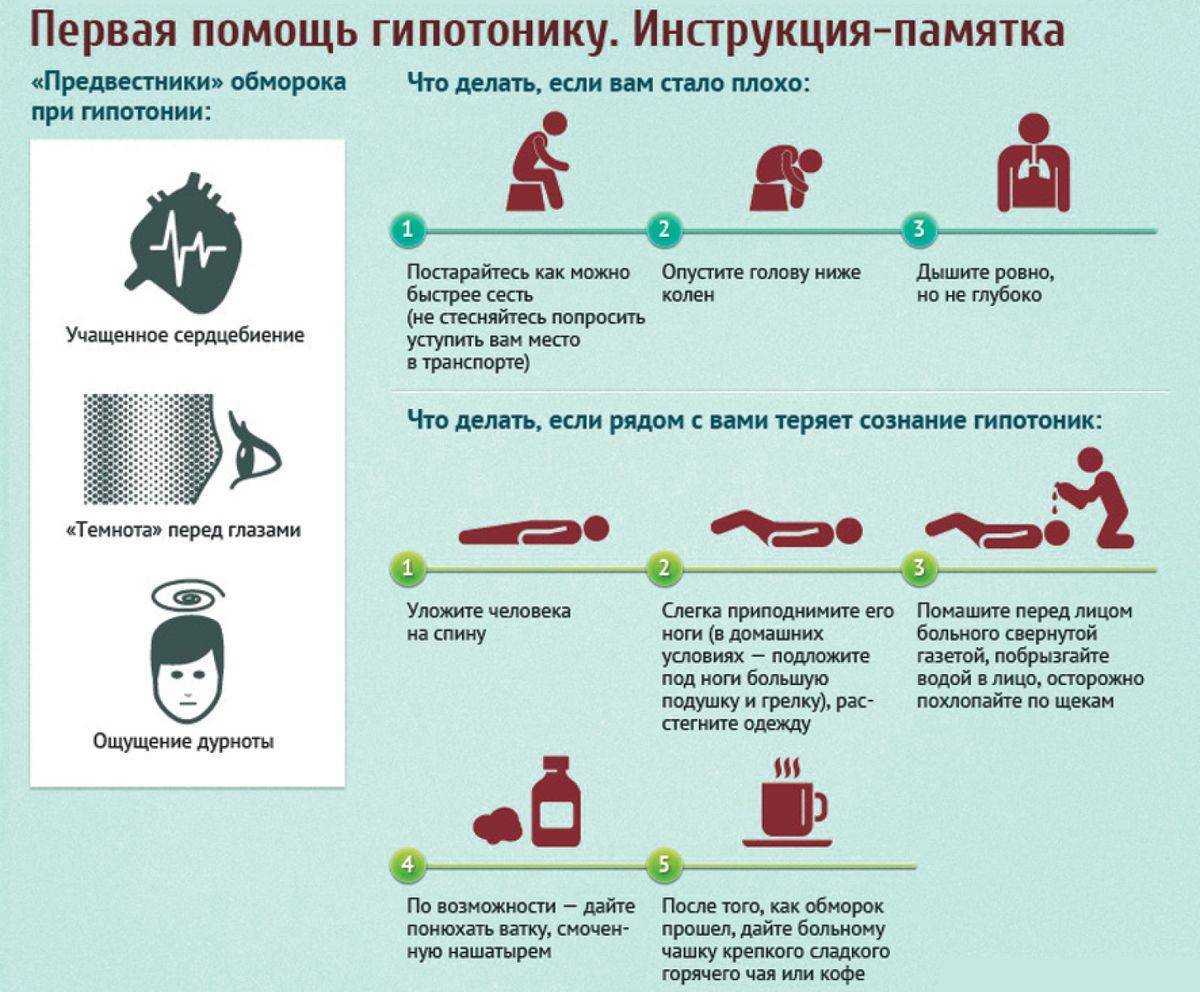 Гипертония у собак. гипертония — высокое давление у собак как измерить артериальное давление у собаки
