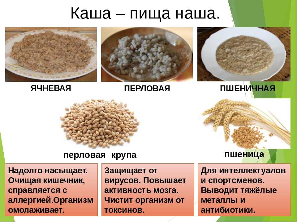 Какими крупами кормят кошек