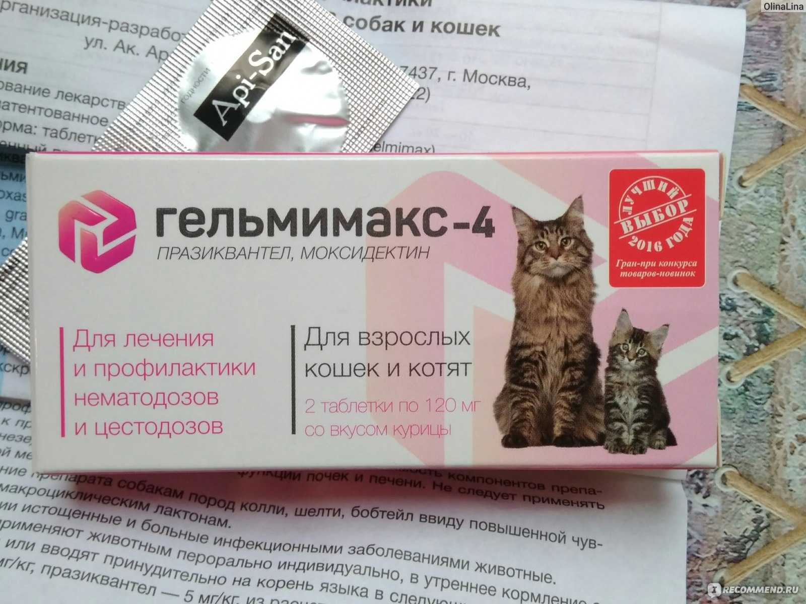 Марена красильная для лечения котов и кошек: инструкция по применению у взрослых животных и котят, отзывы