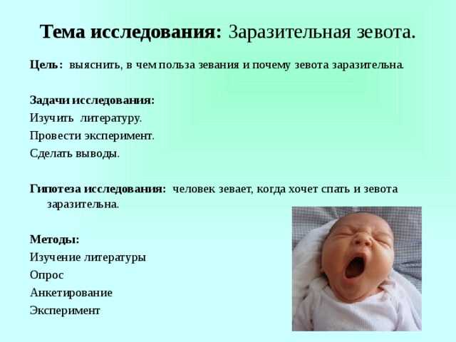 Почему коты зевают?