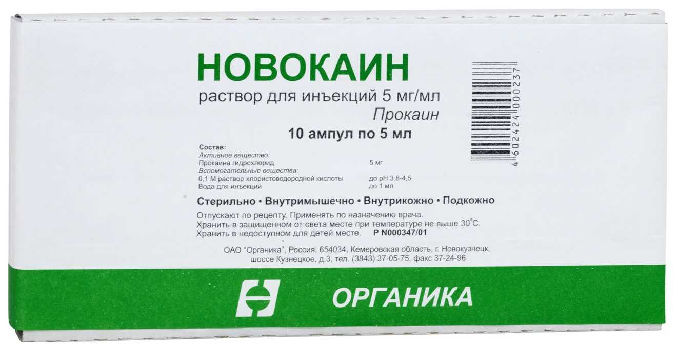 Какие антибиотики можно давать кошкам, список препаратов, дозировка