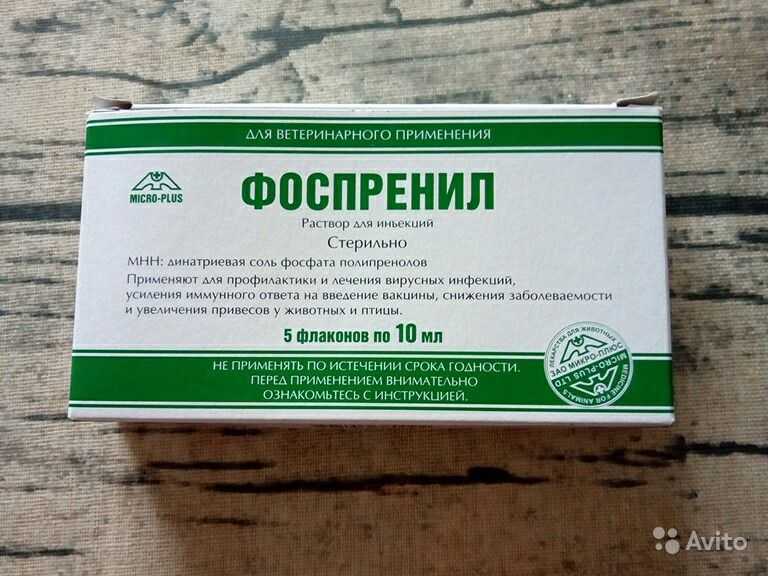 Препарат фоспренил для лечения кошек и собак, инструкция по применению