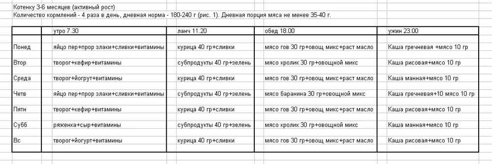Как и чем кормить новорожденных котят, если у кошки нет молока? | блог ветклиники "беланта"
