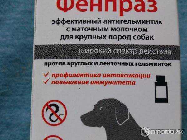 Фенпраз для кошек защищает от глистов