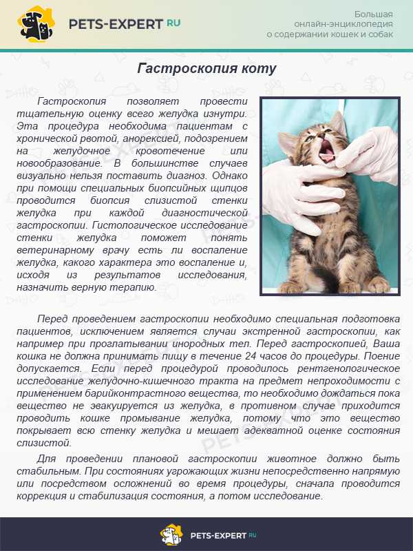 Блог