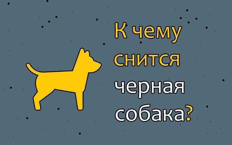 К чему снятся собаки и щенки - расскажут сонники
