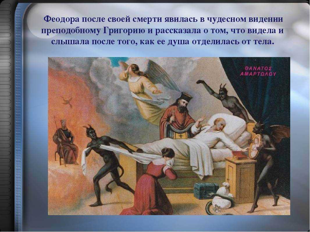 Кошачья душа: возможна ли реинкарнация