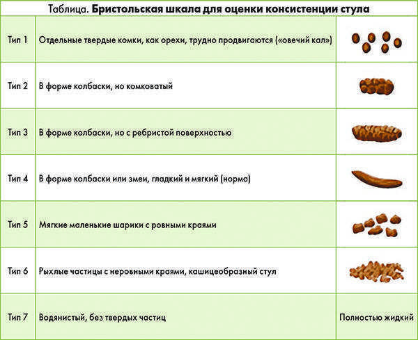 У кошки жидкий стул чем лечить в домашних условиях быстро и эффективно