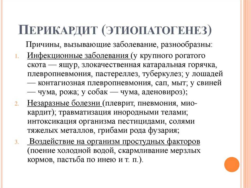Где у кошки находится сердце?