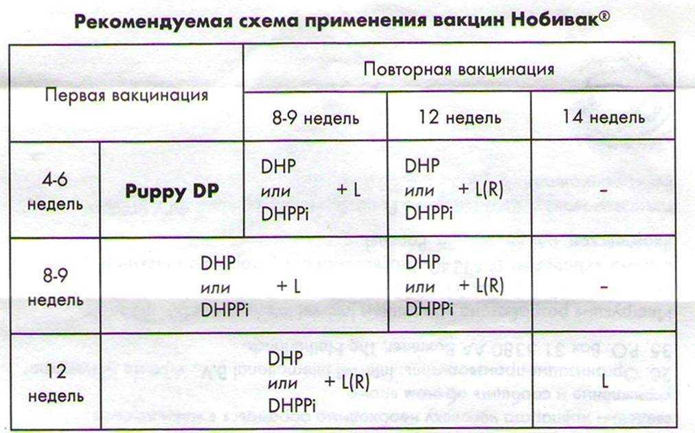 ᐉ мультикан 4: инструкция по применению вакцины для собак и щенков, дозировка и показания к использованию - kcc-zoo.ru