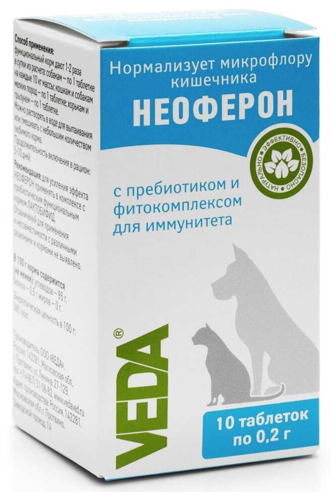 Энромаг для кошек: инструкции по применению в ветеринарии, показания и противопоказания, побочные действия, отзывы, стоимость, аналоги