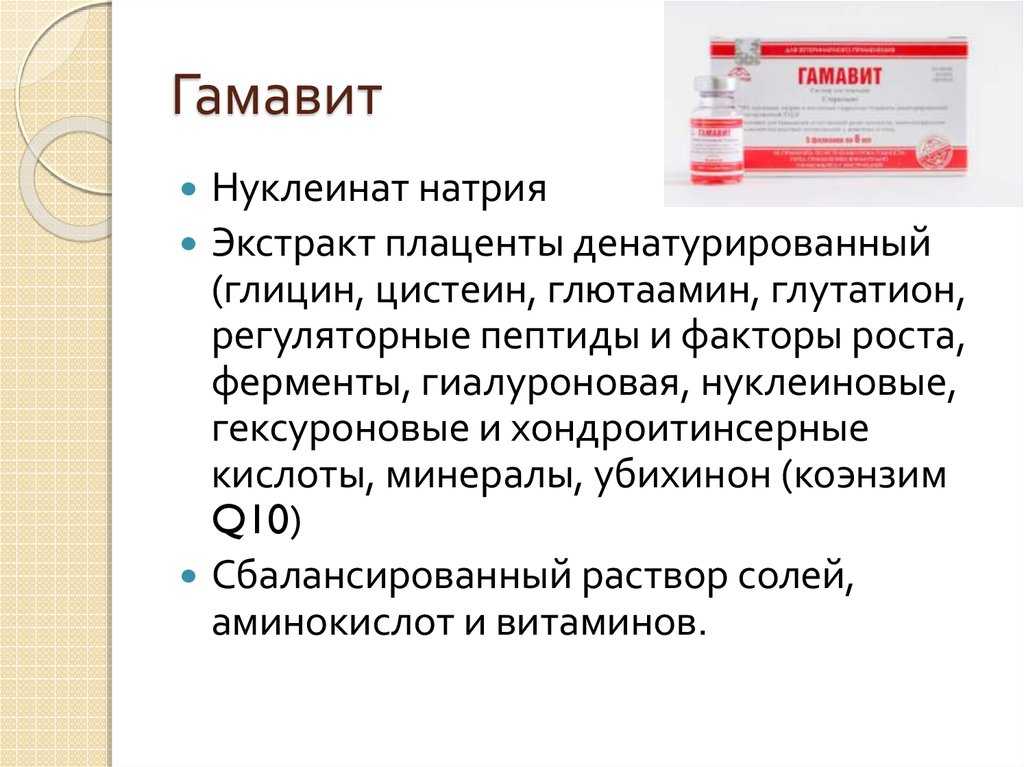 Гамавит для кошек: состав, показания и способ применения