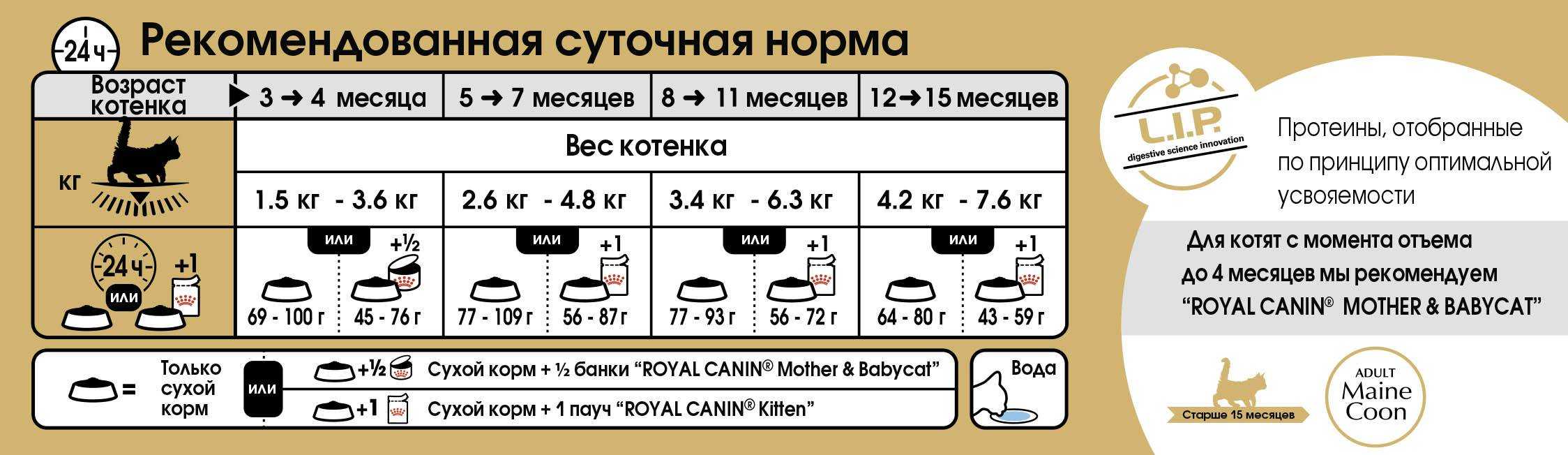 Можно ли кошкам давать сметану