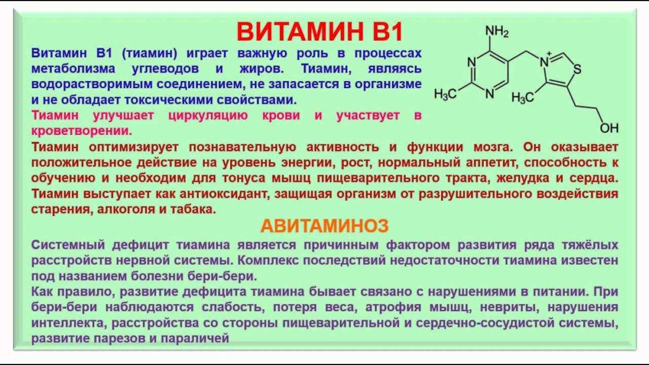 Авитаминоз у кошек