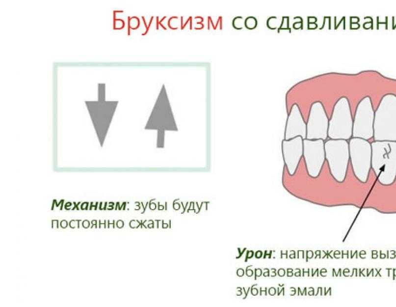 Кошка скрежет зубами и рвота