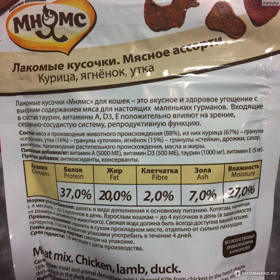 27 овощей и фруктов которые можно дать коту!