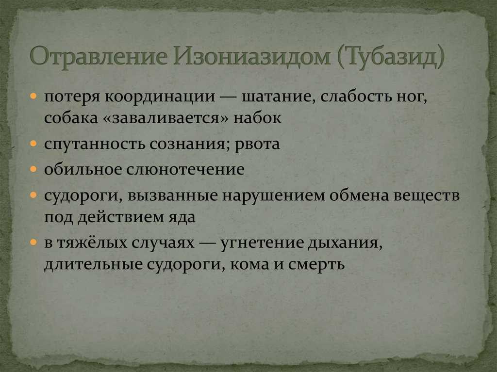 Отравление у собаки: начальные проявления и первая помощь | звери дома