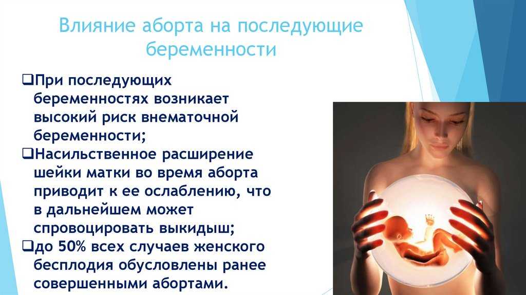 Выкидыш у кошки: каковы основные симптомы и причины патологии, как предотвратить ситуацию и как ухаживать за питомцем после случившегося
