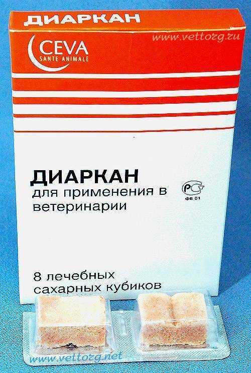 Диаркан для кошек: инструкция по применению, состав, дозировка и цена