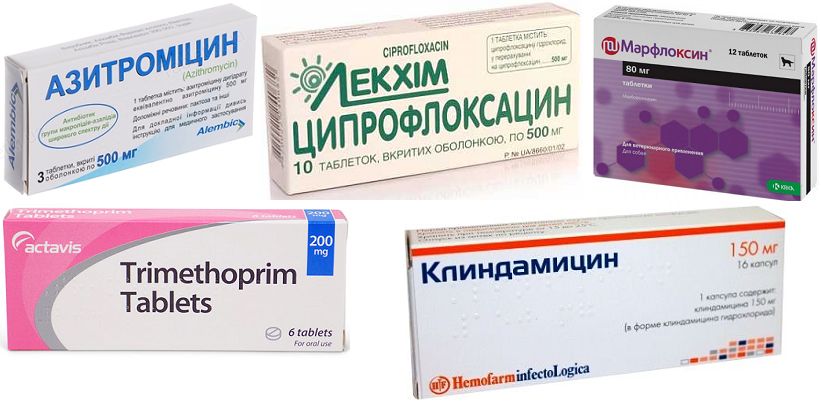 У собак тоже бывает простатит