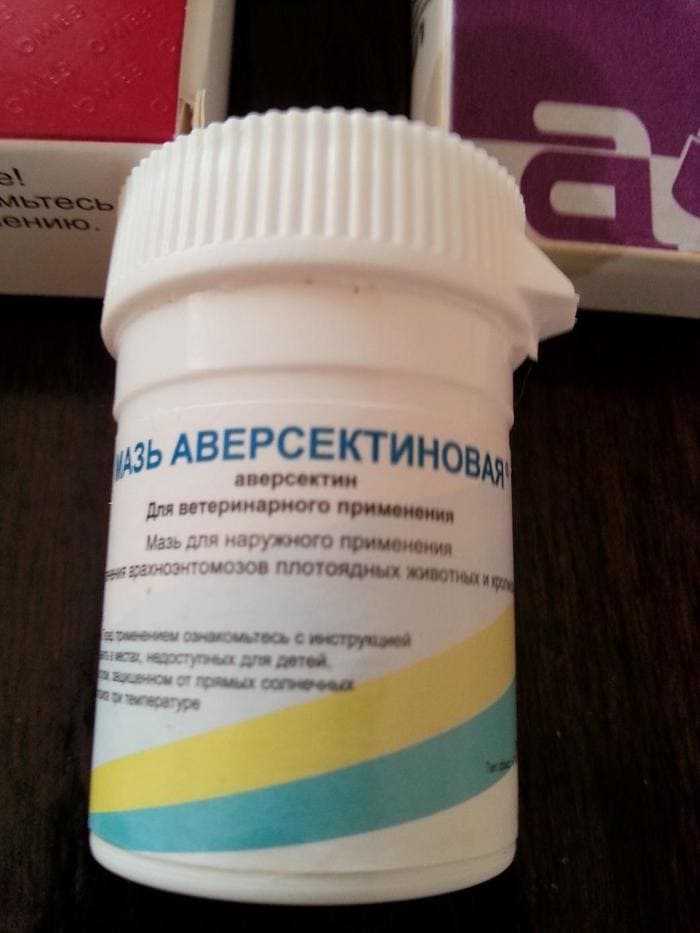 Аверсектиновая мазь: принцип действия для кошек и собак, инструкция по применению