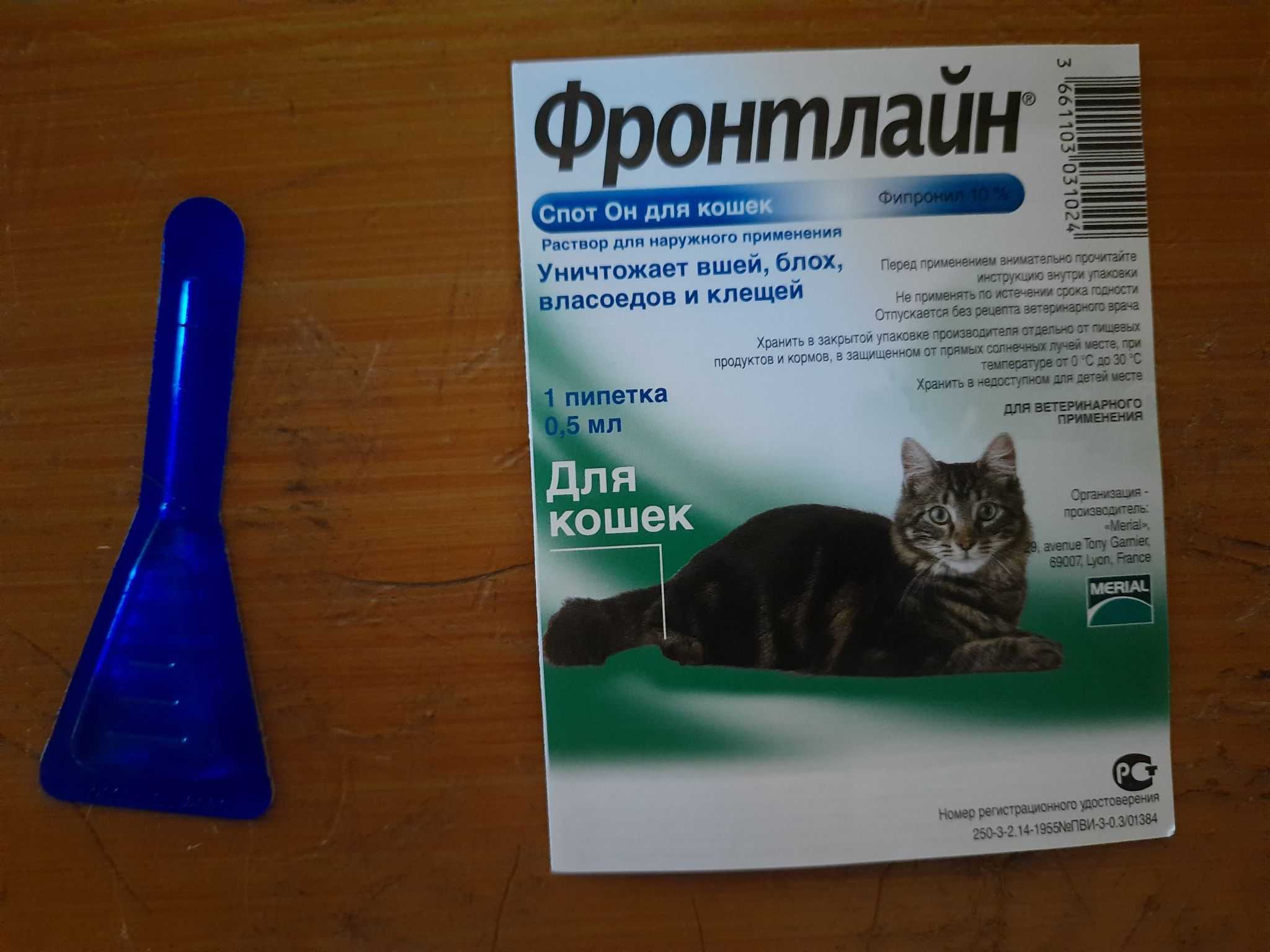 Фронтлайн для кошек: инструкция по применению спрея, каплей комбо, спот он, отзывы