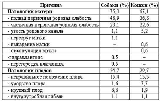 Выпадение матки у собаки во время течки: что делать и чем помочь питомцу