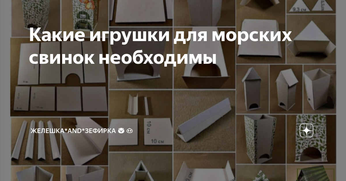 Как самостоятельно сделать домик для морской свинки