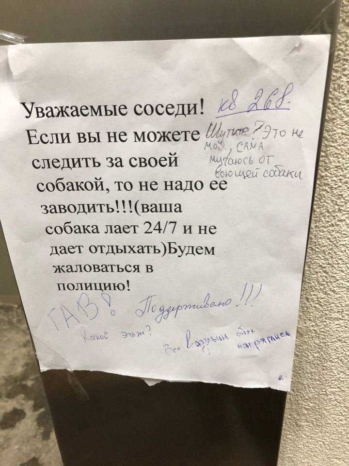 Куда обращаться, жаловаться, если вам мешает соседская собака, если она лает и воет: что делать по закону