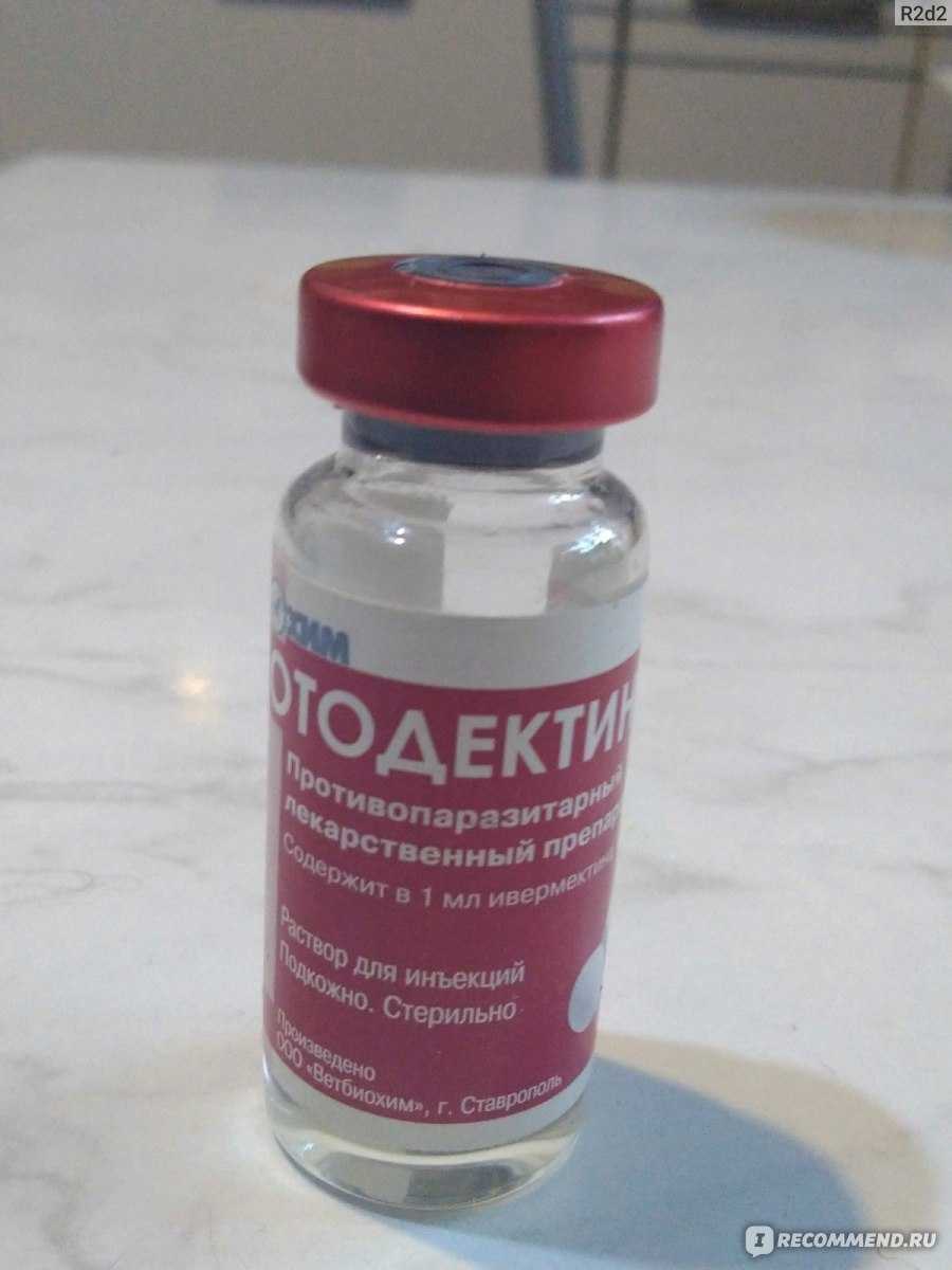 «отодектин»: как и куда колоть собакам и кошкам
