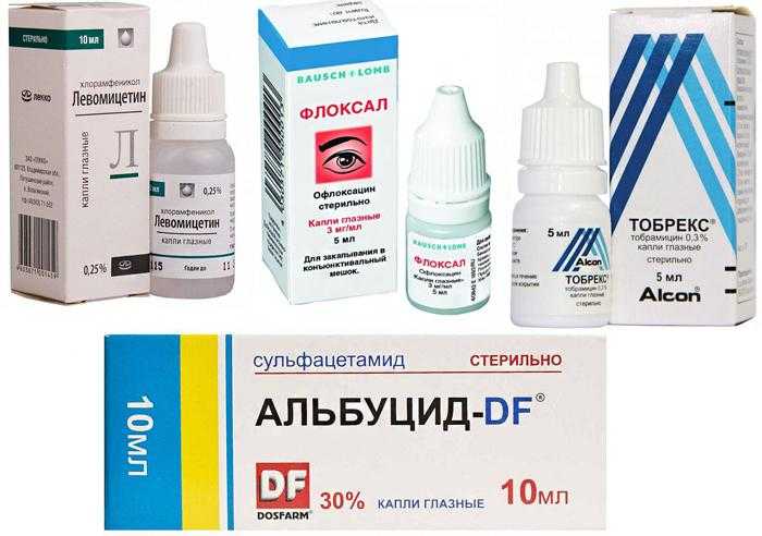 Как закапать «тобрекс» кошкам?