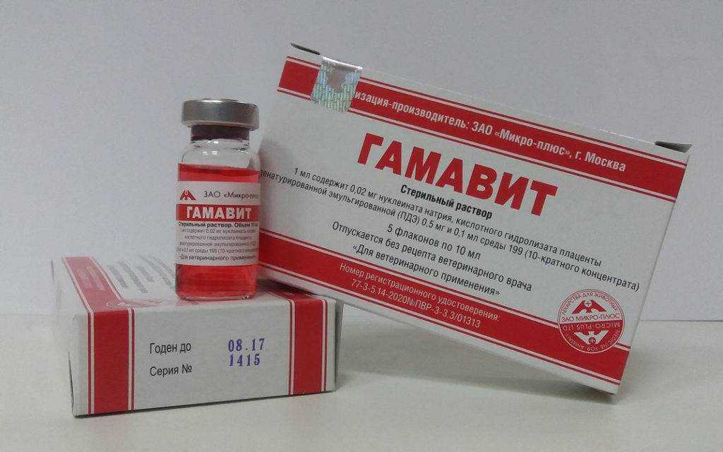 Гамавит для собак: инструкция к применению и дозировка