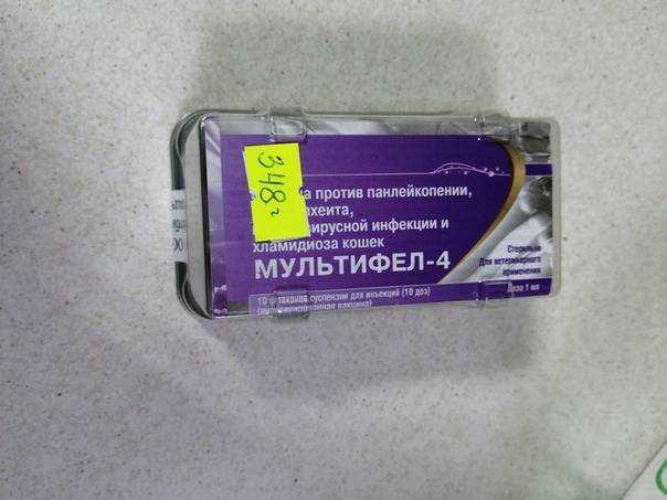 Вакцина мультифел 4 — инструкция для кошек, цена и отзывы