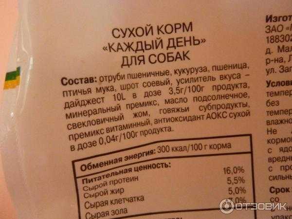 Можно ли размачивать сухой корм для собак водой? - новости, статьи и обзоры