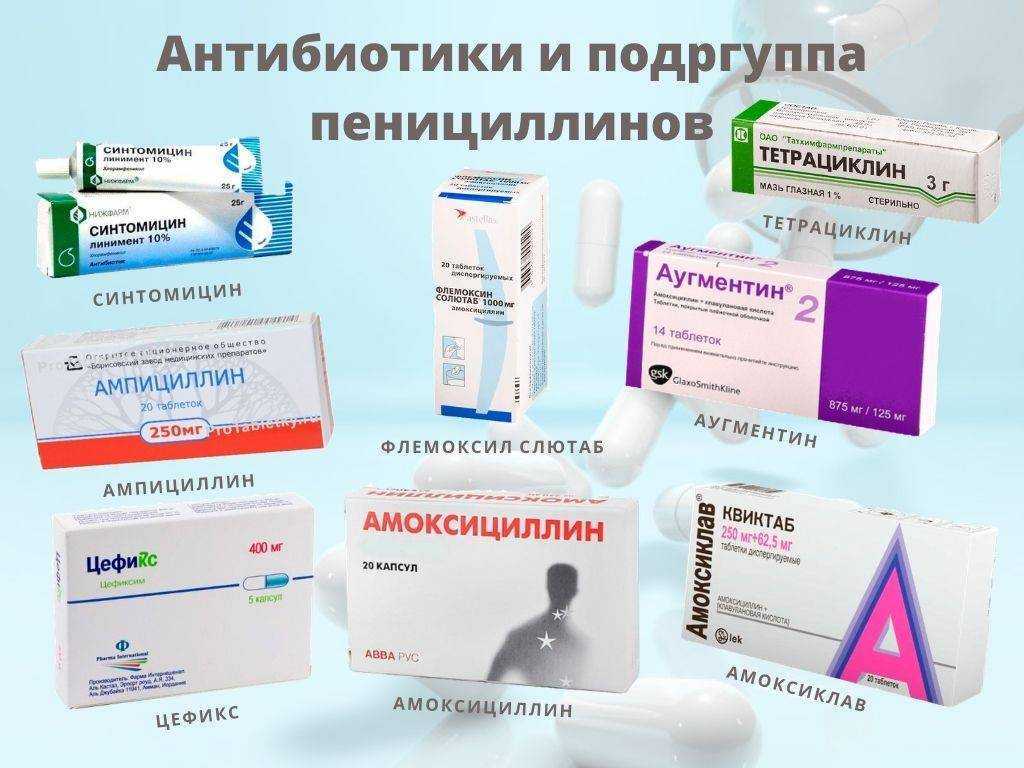Пиодермия у собак: лечение, симптомы, список препаратов