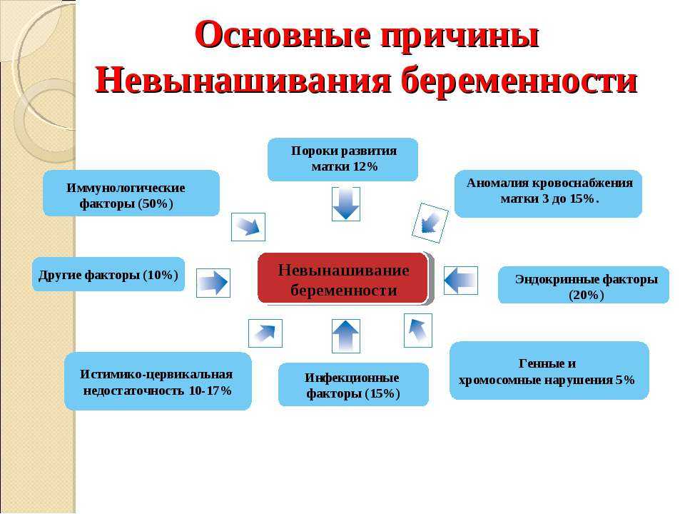 Выкидыш у кошки: почему рождаются мертвые котята все о домашних питомцах: породы и виды, уход, болезни