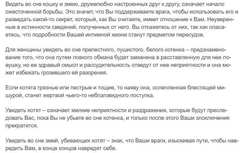 К чему снится рыжий котенок: самые точные толкования известных сонников. чего ждать, если приснился рыжий котенок