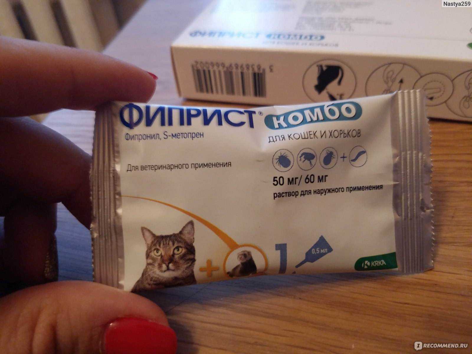 Способ применения капель инспектор для кошки: дозировка и противопоказания