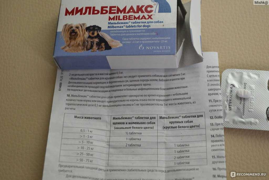 Мильбемакс для собак: как принимать при паразитах, возможные побочные эффекты