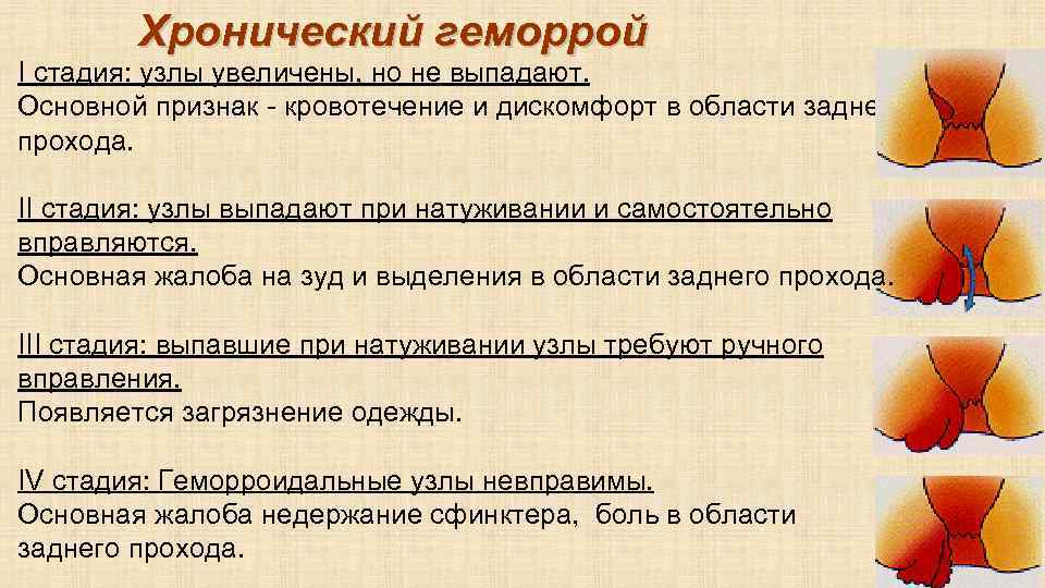 Из-за чего у кошки могло покраснеть под хвостом?