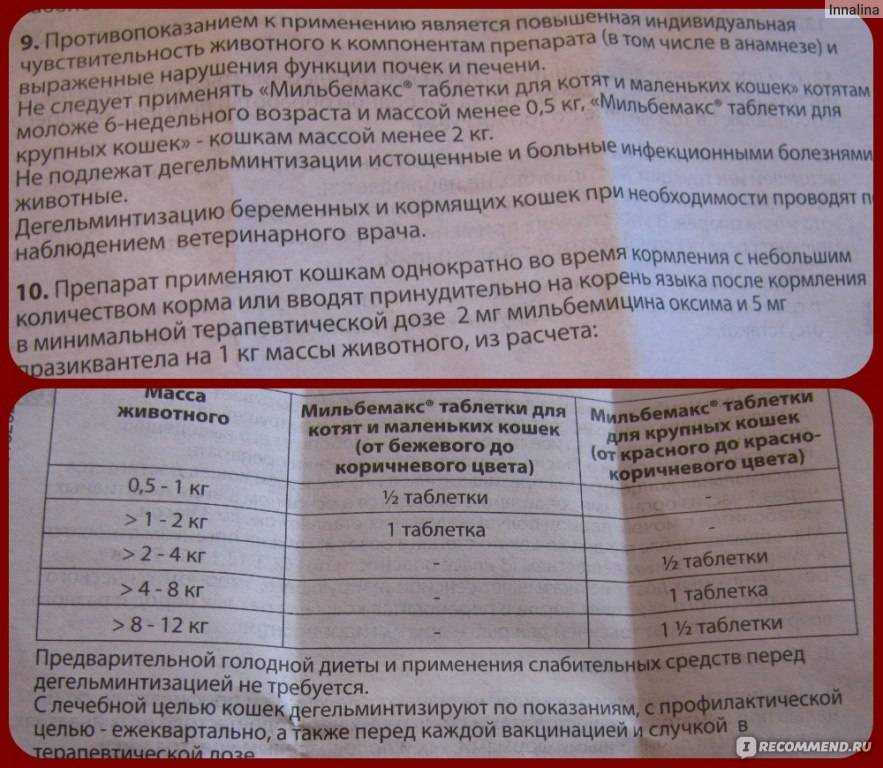 Трихопол для кошек: инструкция по применению и дозировка, особенности назначения и применения