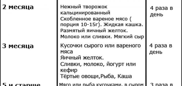 Чем кормить котёнка в 4 месяца: особенности питания, продукты и рекомендации
чем кормить котёнка в 4 месяца: особенности питания, продукты и рекомендации