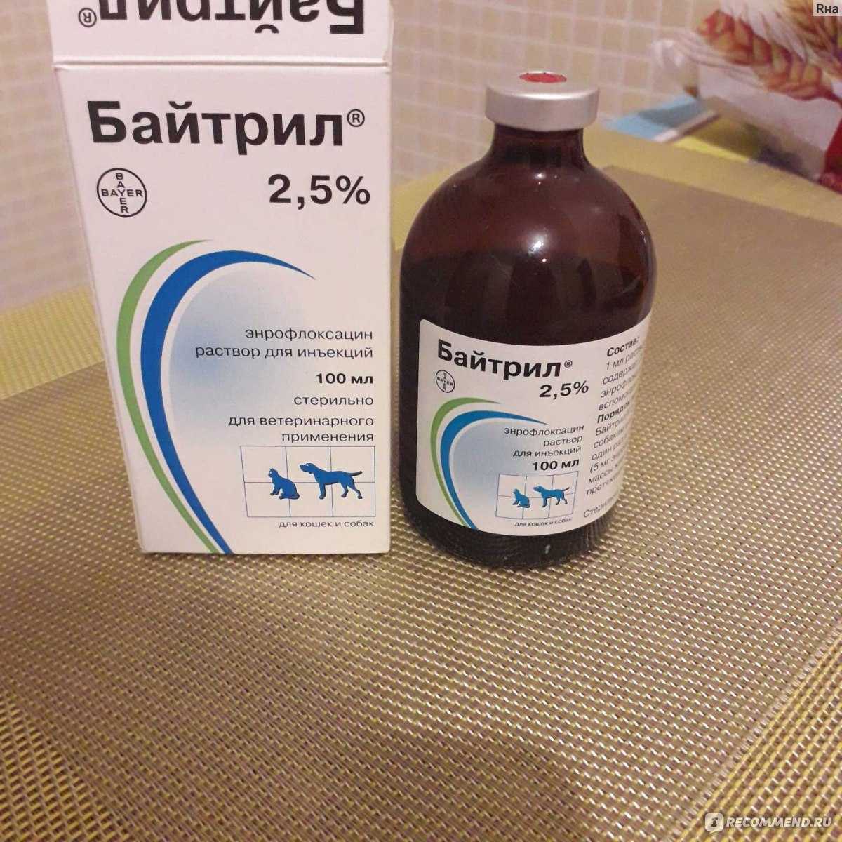 Энрофлоксацин инструкция по применению в ветеринарии