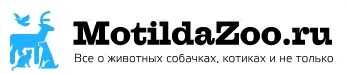 Перикардит лечение у кошек. перикардит у собаки: причины, симптомы и лечение
