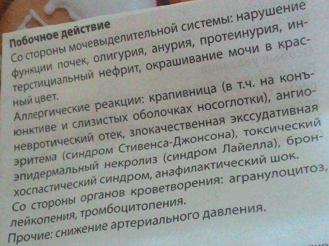Чем обезболить кошку в домашних условиях. обезболивающие препараты для кошек