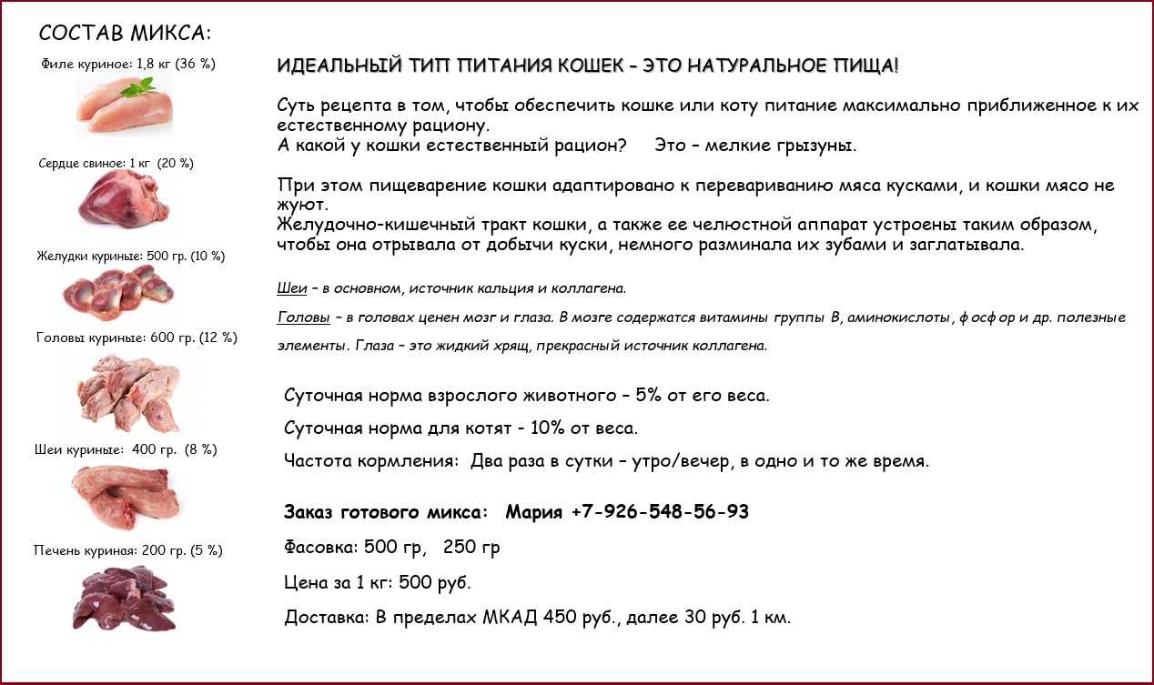 Каким мясом кормить кота: список разрешенных сортов