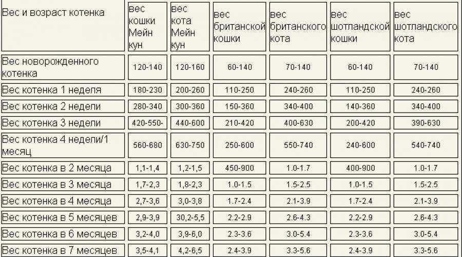 Сколько весит кот (кошка): таблица по возрастам, средний, нормальный вес