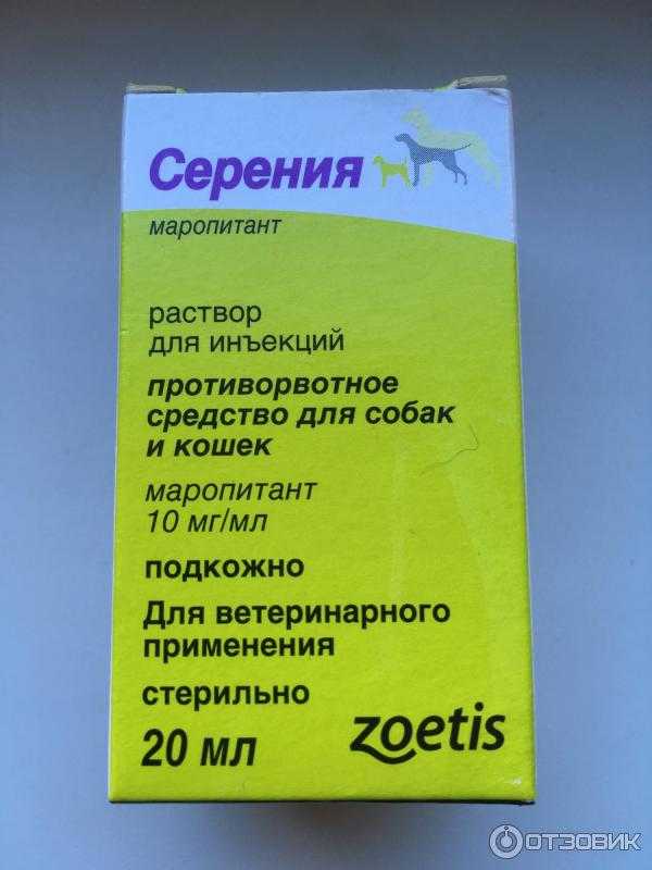 Серения для собак поможет избавиться от рвоты